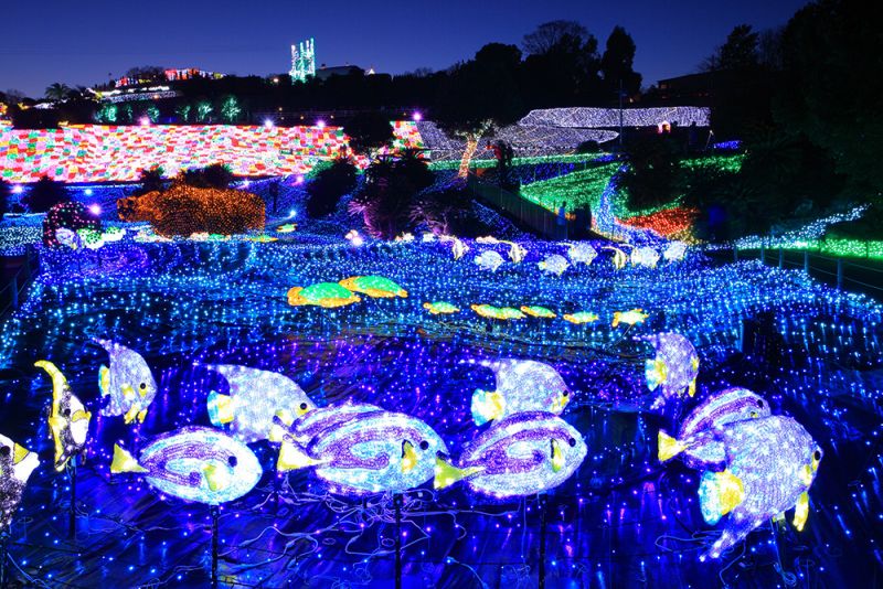 lãng mạn ngày Valentine tại lễ hội ánh sáng